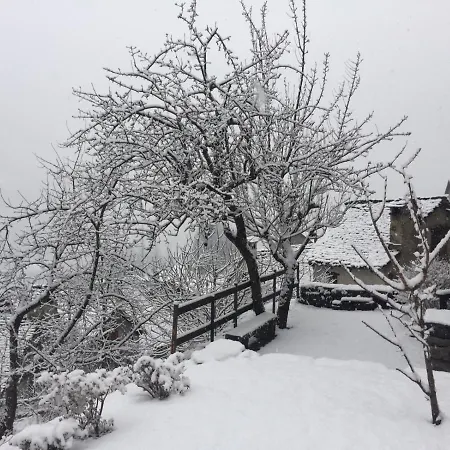 Casa Zizi Tatil Evi *