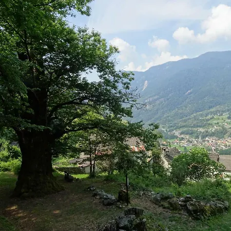 Casa Zizi *