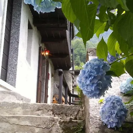 Casa Zizi Ferienhaus *