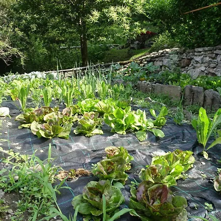 Tatil Evi Casa Zizi Crodo
